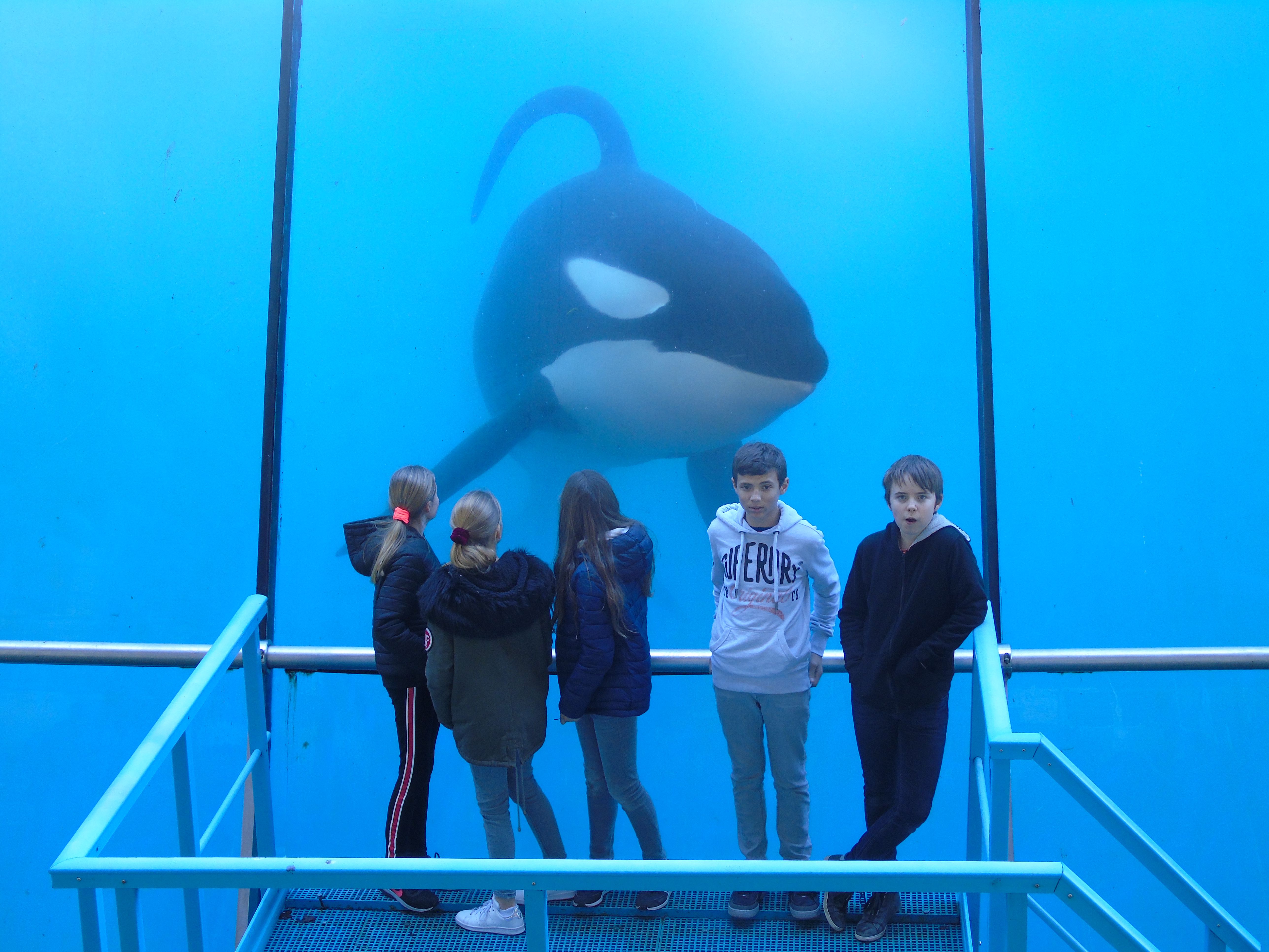 Marineland 2019